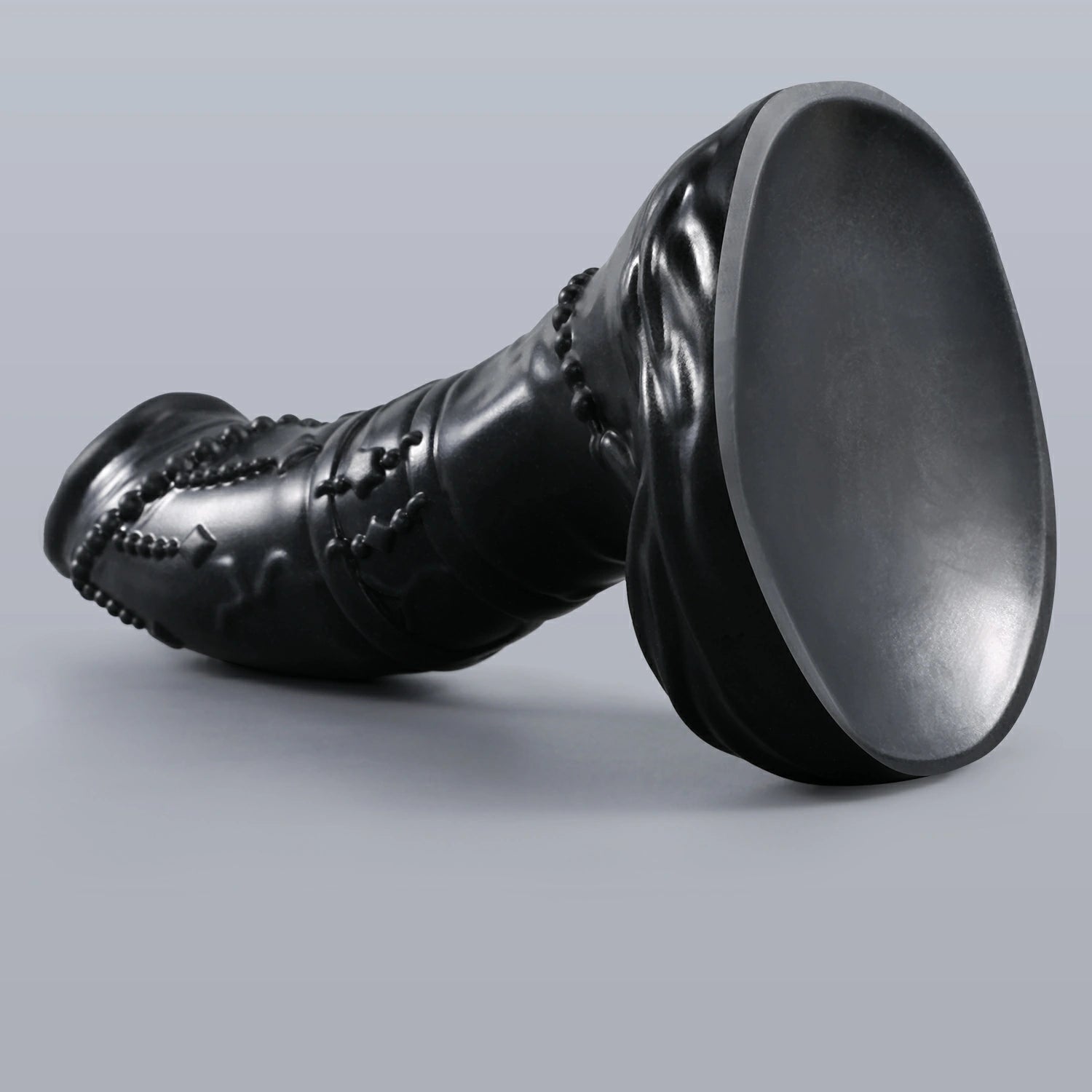 GLOSSY - CASTOR