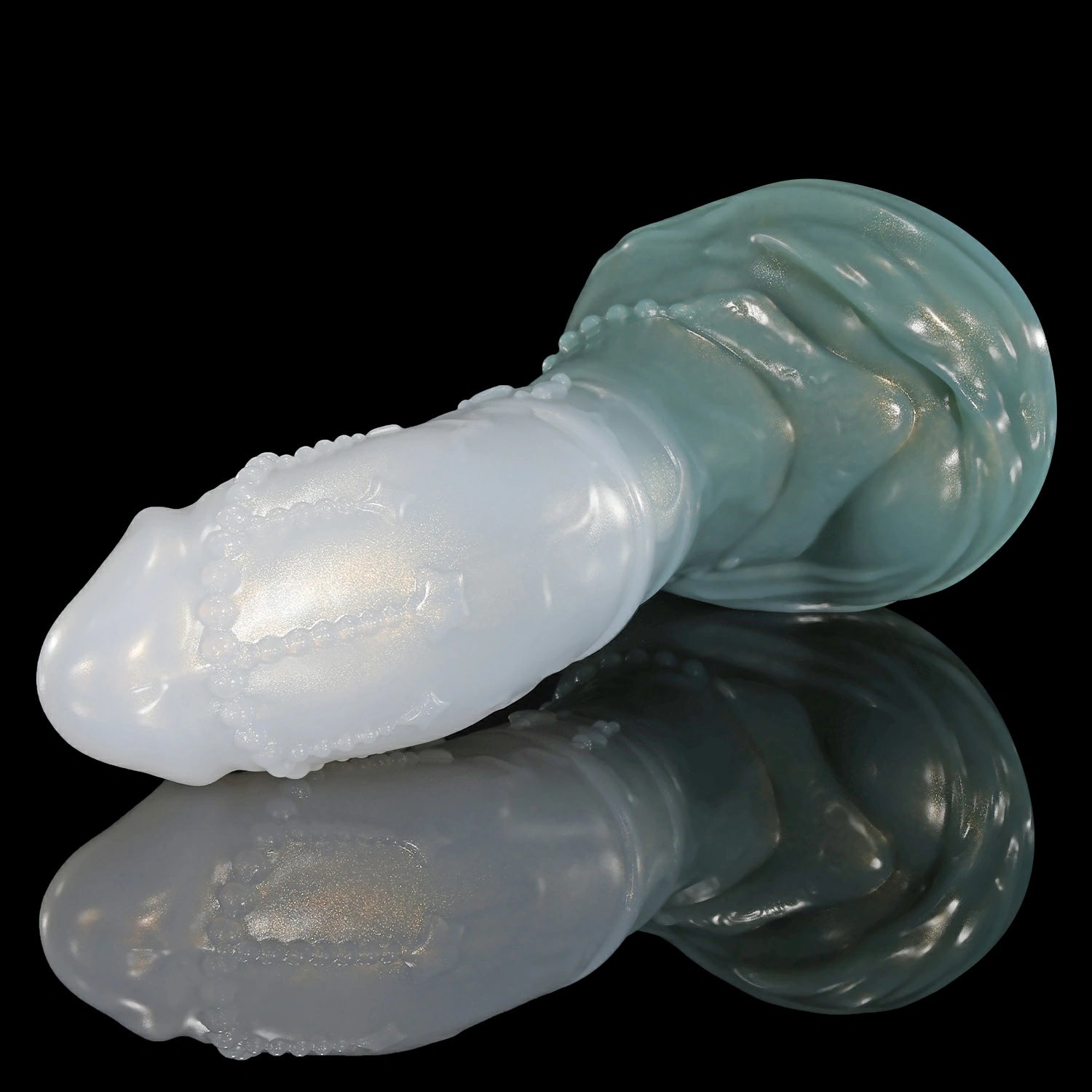 GLOSSY - CASTOR